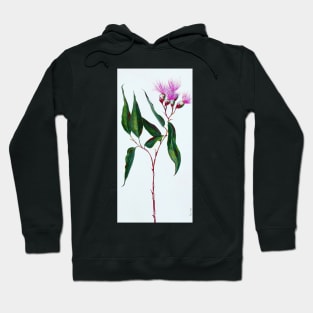 Elegance in Pink - Australian Gumnut Flower Stem Hoodie